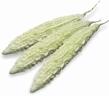 White Bitter Gourd Vegetable Seeds for Planting, heirloom & Non-GMO Seeds